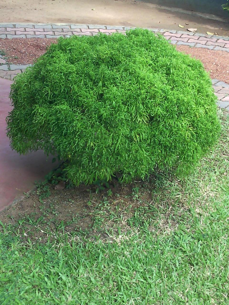 היקדואה Sumudu Villa מראה חיצוני תמונה